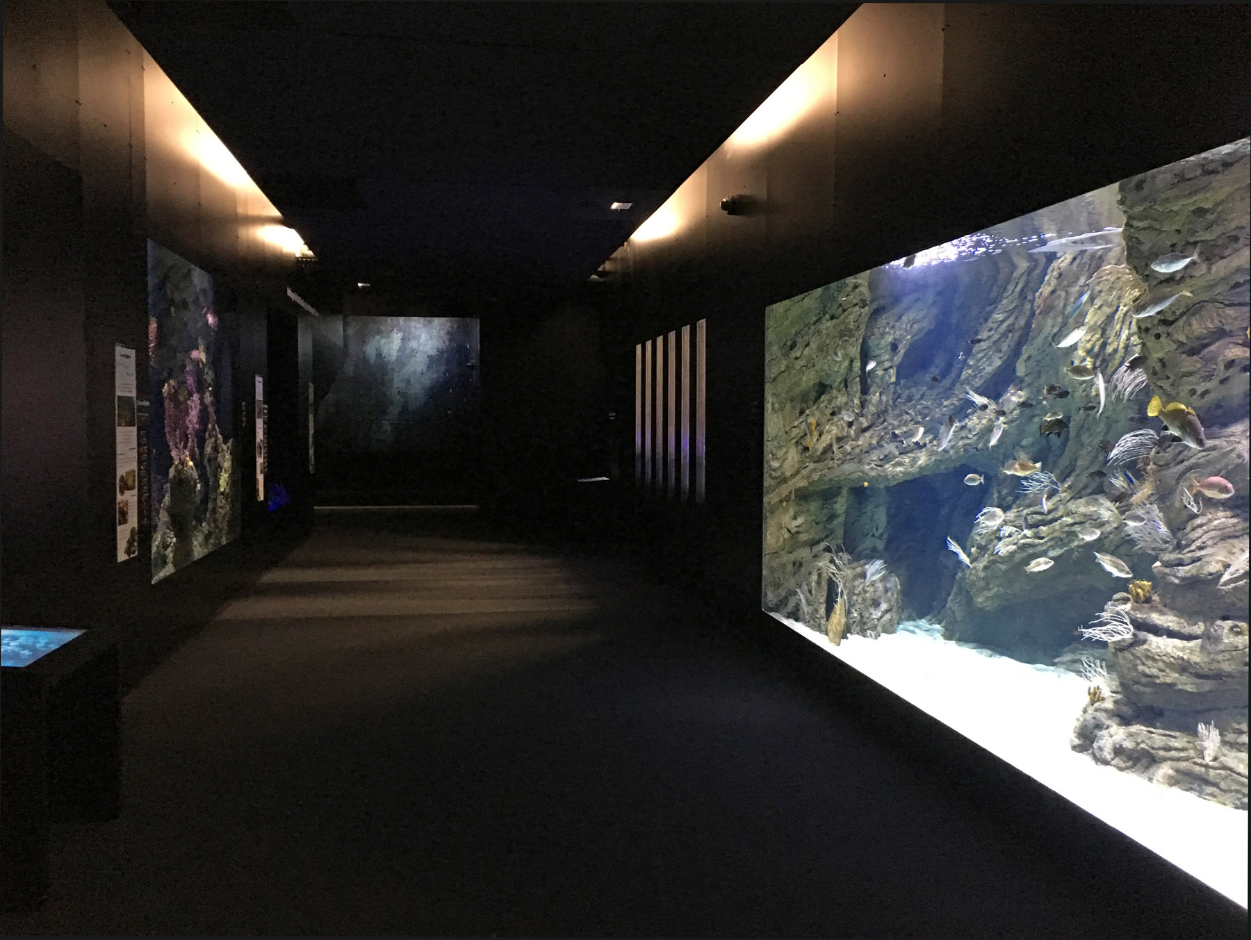 Biodiversarium - aquarium et laboratoires de recherches_Vue sur les bassins
