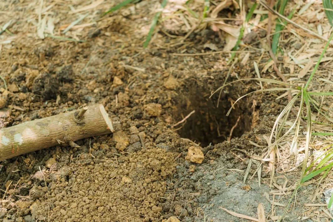 trou-jardin-sans-monticule